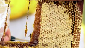 Beekeeper slicing a portion of honey comb off a wooden frame for sale at market in a close up on his hands as he works