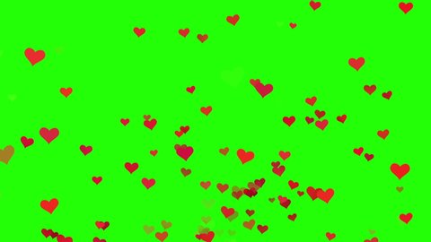 Endless animation of many red hearts in 3D generated and flying on green screen. Valentine's day concept. Like and love reaction on chroma key. Gift and wishes for web card. Background animation in 4k