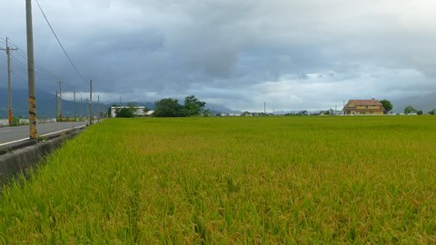 The beauty of the farmland in Taitung Taiwan
