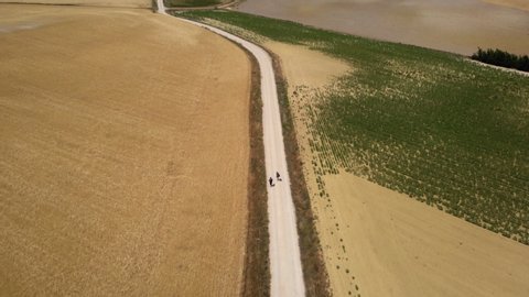 Aerial view of pilgrims walking on path near Hontanas, Spanish town along Camino de Santiago or Way of St James. People on road in Spain seen from drone flying in sky
