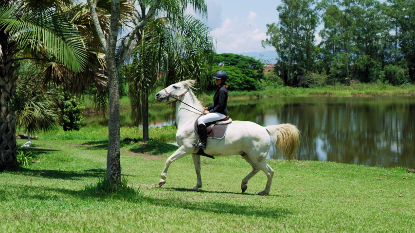 A professional female equestrian rears up her white and marvellous horse