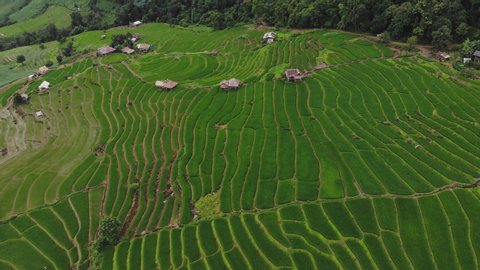 Aerial Shot rice field,rice .Aerial view above of Thailand landscapes with rice field. Rice fields of Maelanoii, Maehongson. Is a beautiful tourist destination in Thailand