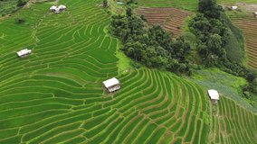 Aerial Shot rice field,rice.Aerial view above of Thailand landscapes with rice field. Rice fields of Maelanoii, Maehongson. Is a beautiful tourist destination in Thailand