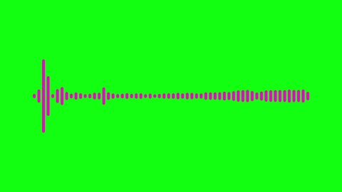 Pink horizontal lines interface audio voice music sound spectrum equalizer. Animation on green screen or chroma key. Animated line waveform visualizer reacting whit strong pulses in display 4k