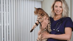 4K Video portrait of female veterinarian holding Bengal cat in her arms standing and smiling looking at camera