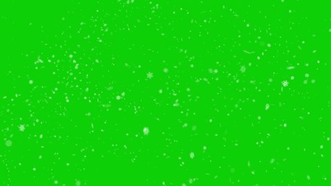 Winter Snow Falling Snow Isolated On Stock Footage Video (100% Royalty ...