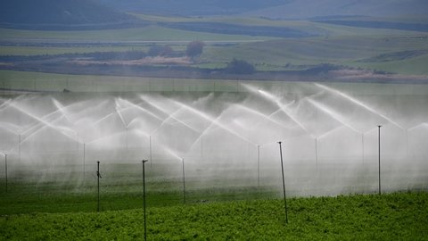 Sprinkler Irrigation With Turbines In Stockvideos Filmmaterial 100 Lizenzfrei 4324889 Shutterstock