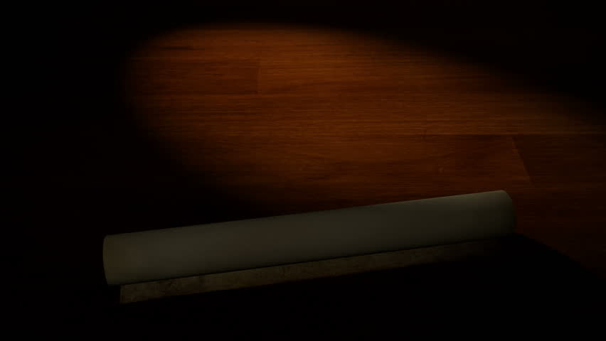 U.S. Declaration of Independence - Scroll Reveal