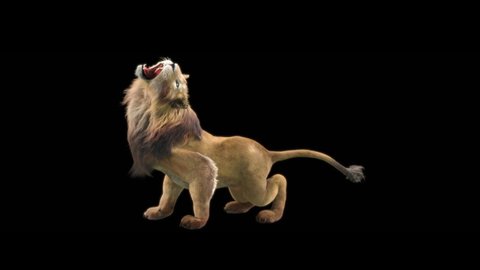 lion Zoo CG fur 3d rendering animal realistic CGI VFX Animation Loop Crowd dance composition 3d mapping cartoon Motion Background