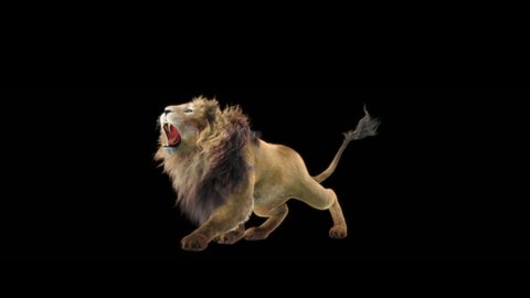 Lion Cg Fur 3d Rendering の動画素材 ロイヤリティフリー Shutterstock