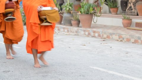 LUANG PRABANG, LAOS - MAY 2019: Buddhist monks collect rice during Tak Bat morning alms giving ceremony
