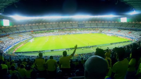 Sao Paulo/Brazil  08/24/2019  video of Football fans in the stands of a football stadium cheer for their team 