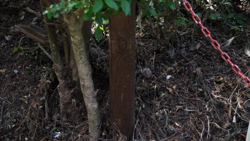 Metal chain with sign written in Italian "no entry for non-experts". slow motion