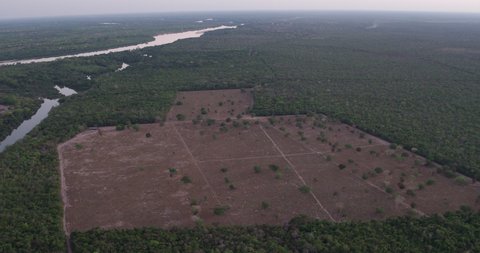 Aerial of large logged section of the amazon rainforest