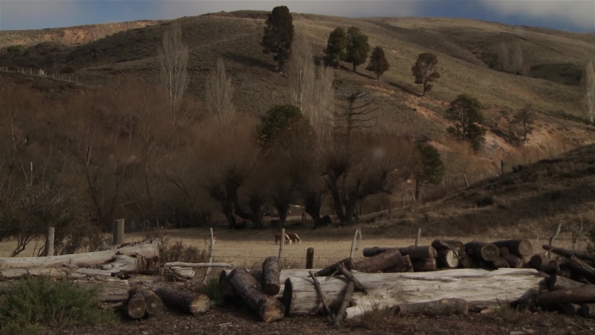 Patagonia Landscape, with Trees Over a Hill and Farm Animals.