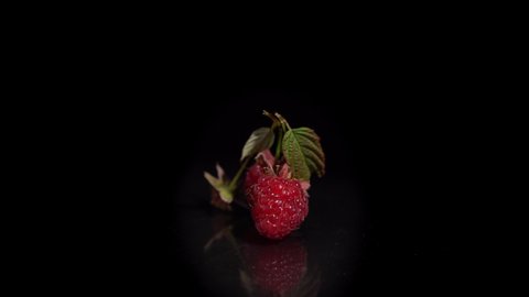 Close-up of three red ripe raspberries are turning around on a mirror surface, seamless loops. Fresh juicy berries isolated on a black background.