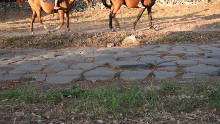 View of Appia Ancient ancient Roman road