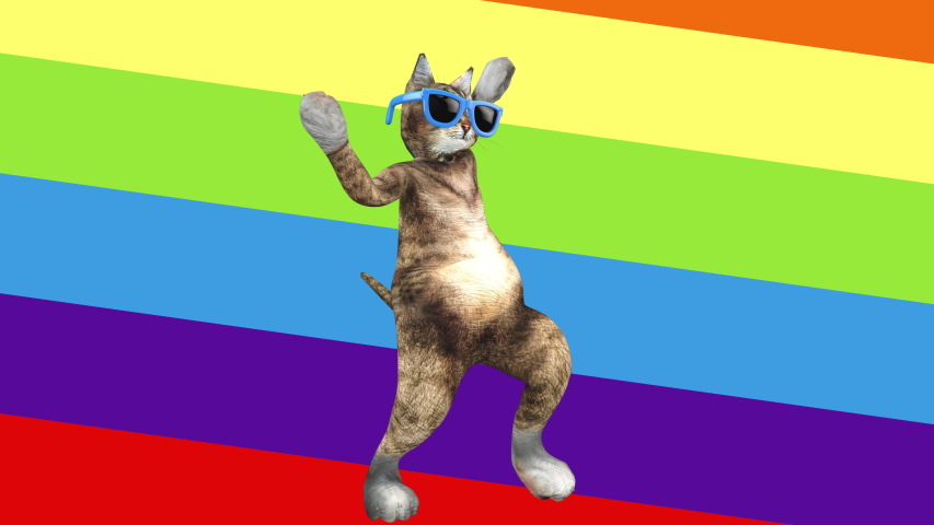 lgbt-cats-stock-video-footage-4k-and-hd-video-clips-shutterstock