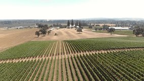 Cinematic aerial footage of vineyards in Oregon's Willamette Valley.