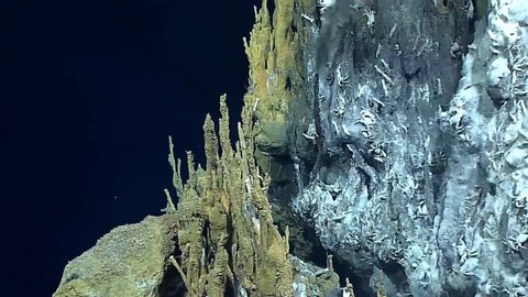 CIRCA 2010s - Hydrothermal Vents from 2016's Deepwater Exploration of the Marianas