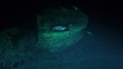 CIRCA 2010s - NOAA explores two recently discovered World War II shipwrecks off the coast of North Carolina, 2016