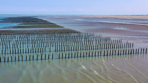 NORMANDY, FRANCE - CIRCA 2018 - Aerial over French mussel farm at Utah Beach, Normandy, France.