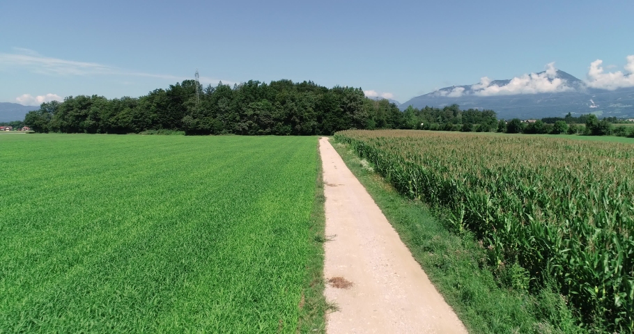 4K: Drone aerial ascending backwards over gravel road on a sunny summer day with cornfield on the right side and mountains in the back
