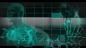 Animation of a green revolving human body, a DNA strand and medical data on a dark background - Powered by Shutterstock - Get 15% off with code: PIKWIZARD15