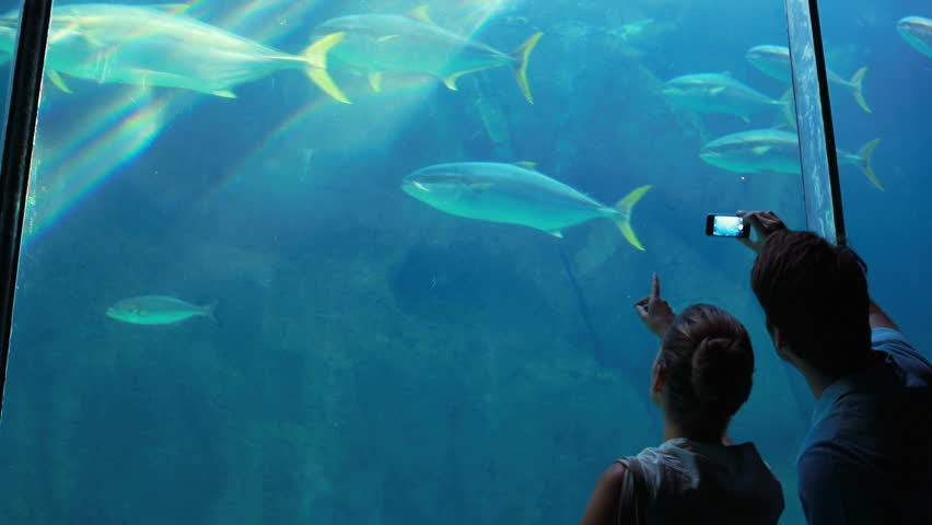 Aquarium central park