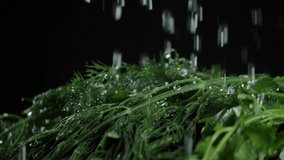 in the video we see the herbs, the water falls from the top of the different jets then stops and we see drops, black background