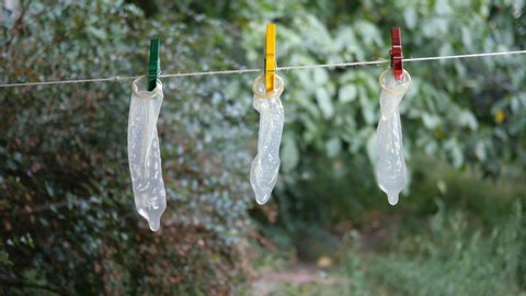 Transparent latex condoms hang on clothesline in backyard of house, attached with clothespins and swing in light breeze. Maybe they were washed to be used again. Outdoors.