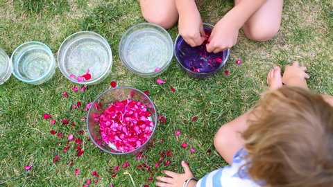 Caucasian children making flower scented water
