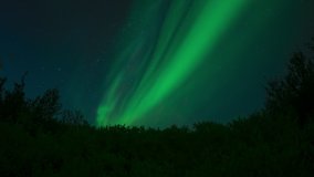 Bright green aurora borealis over dense plants and trees Thingvellir Iceland timelapse.mov
 - Powered by Shutterstock - Get 15% off with code: PIKWIZARD15