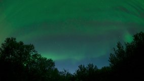 Aurora borealis swirling over forest tree tops Thingvellir Iceland.mov
 - Powered by Shutterstock - Get 15% off with code: PIKWIZARD15