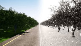 Summer and winter road movement 3d realistic footage. Seasonal landscape. Year cycle and time changing, concept animation. Cold and warm weather. Falling snow in forest abstract video
