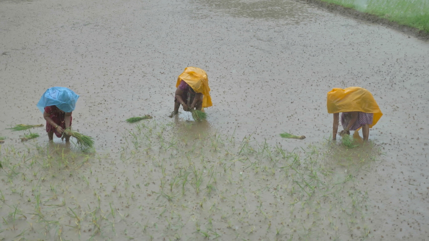 farmers raincoat