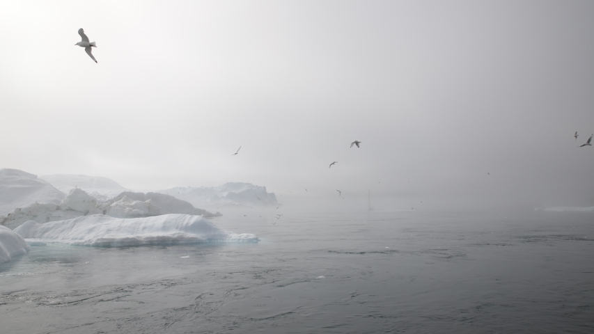 ice fjord of Ilulissat in very cloudy and misty conditions, Greenland