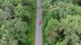 Aerial view of red car driving on country road in forest. Video from drone flying over road in autumn forest