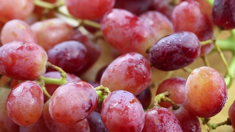 Close up view of fresh red grapes  