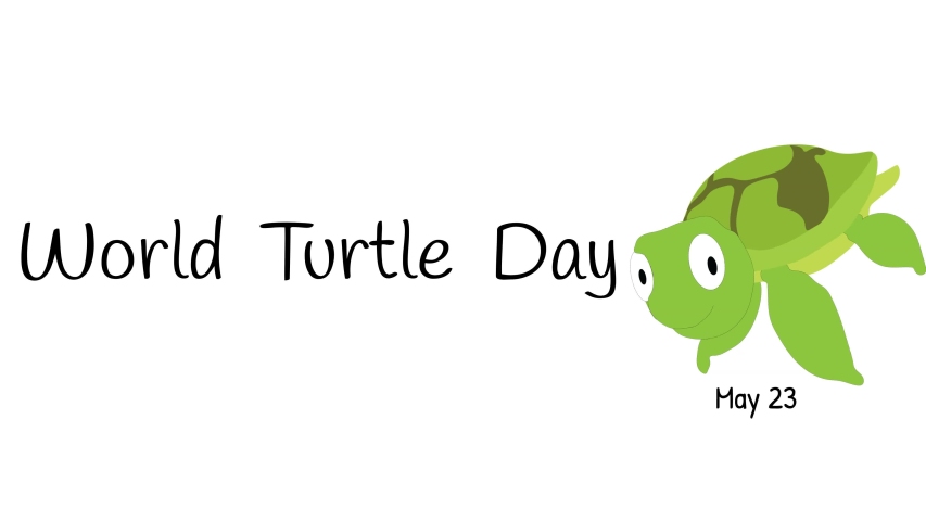 world turtle day banner illustrated on Stock Footage Video (100% ...