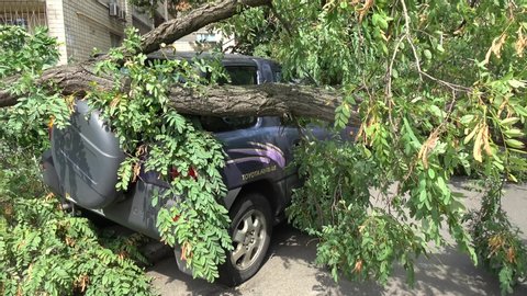 Kiev, Ukraine - 8th of August 2019: 4K Jeep stuck under a fallen tree on the street
