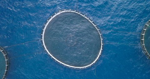 Aerial view of the cages of an aquaculture in the Mediterranean Sea