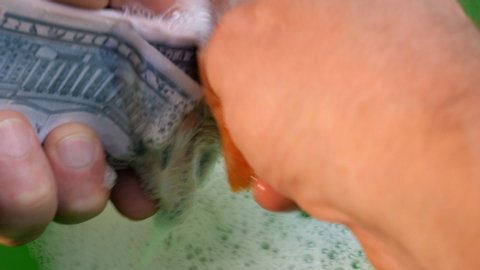 Human hands washing with sponge in soapy foam pack of American dollars. Concept of laundering dishonestly earned money or corruption.
