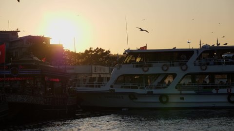 Istanbul / Turkey - 08 08 2019: Seagulls flying during sunset