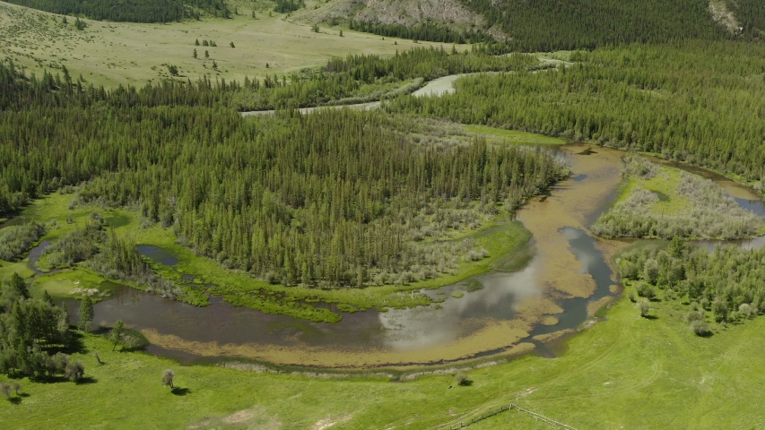 Beautiful spring landscape with mountains, forest and river. Aerial View. Drone shot over a beautiful mountain forest river