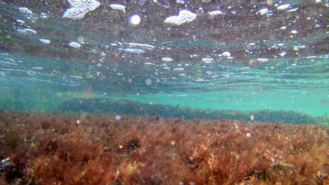 breaking wave in the supralittoral zone of the black sea, underwater snorkel footage, red algae growing on stones and small juvenile fish swim in low salinity saltwater, summertime in Odesa 