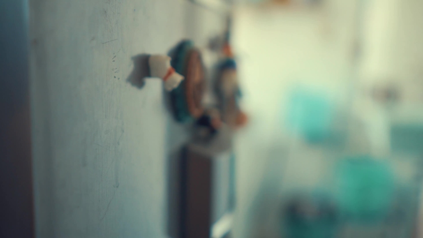 
detail of a dog magnet in the refrigerator