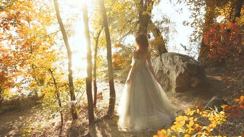 A woman in a luxurious dress stands on the banks of the river. Hair and train fly, flutter in the wind. Colorful, vibrant autumn landscape. Sunny light. Shooting from the back, without a face.