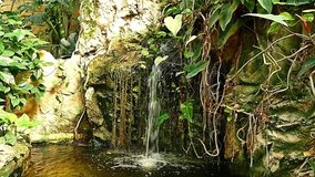 Waterfall in garden HD Video Footage for your Project