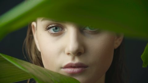 Face of girl with clean skin with natural makeup among exotic plants on a dark background in studio. Advertising of natural and organic cosmetics. Face of woman through large green leaves. 